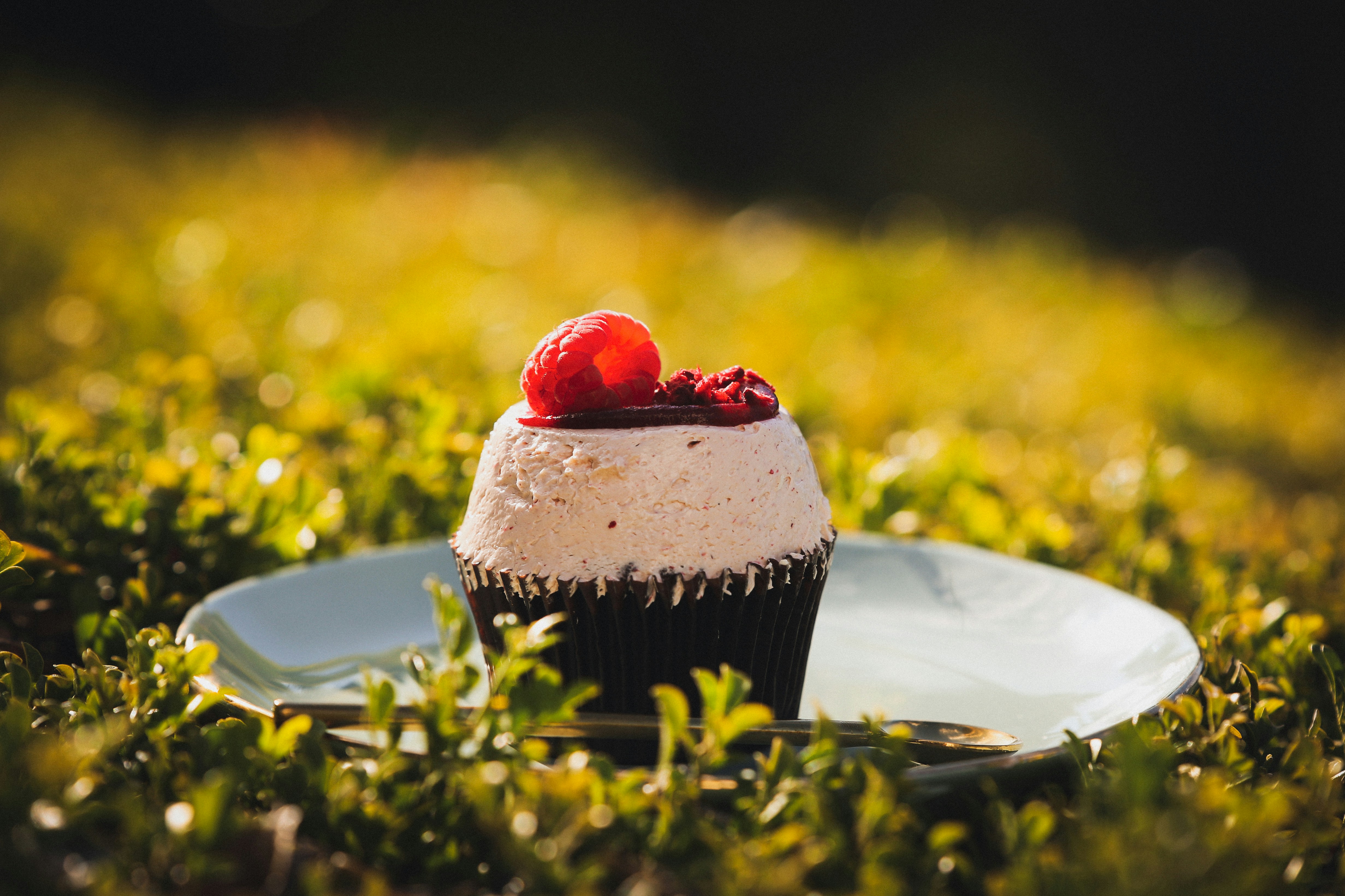 Plátek domácího dortu na talíři