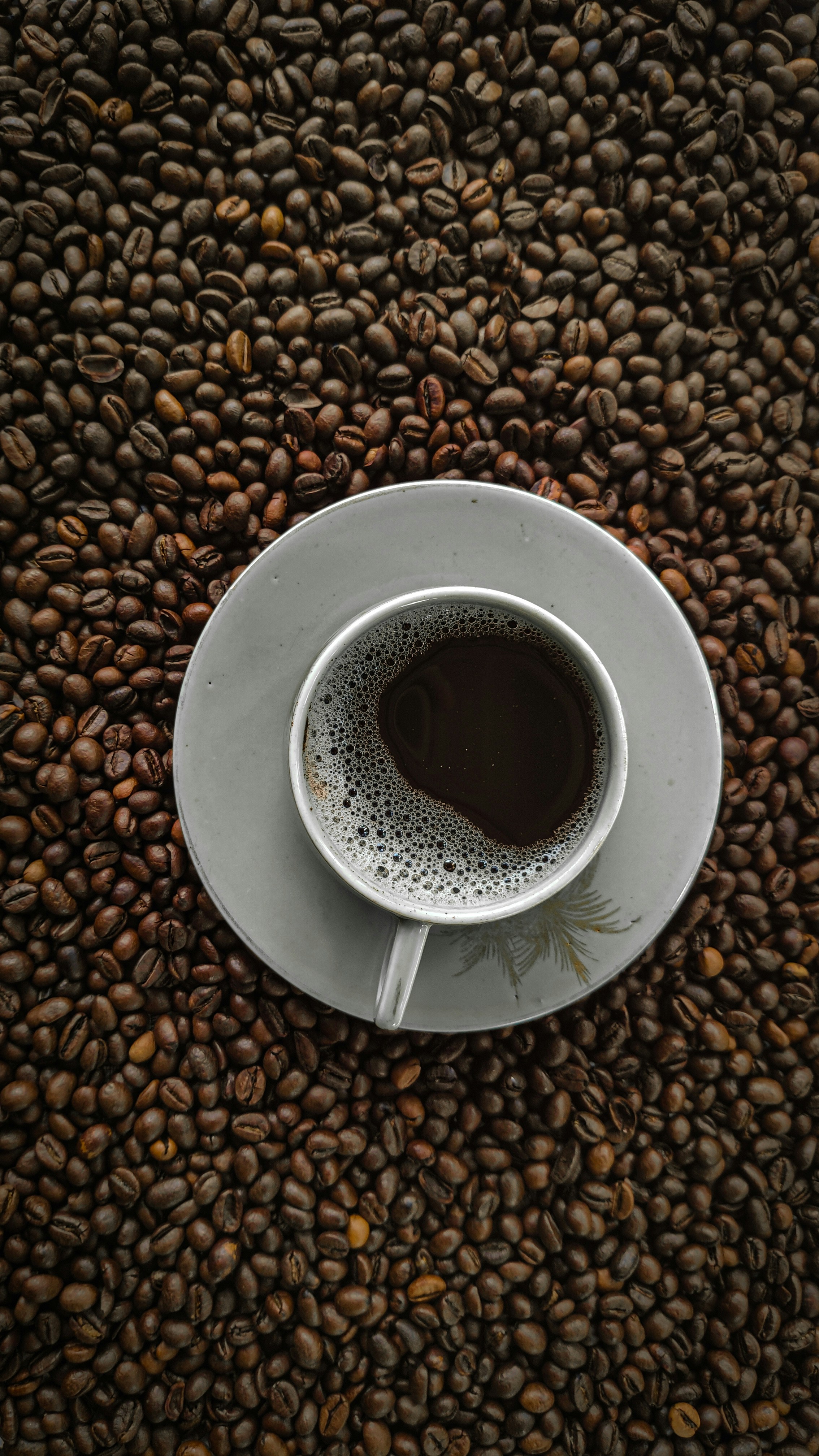 Detail čerstvě pražených kávových zrn